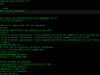 Website as hidden service: how do?