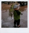 Singing in the rain