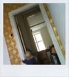 We've wallpapered