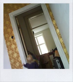 We've wallpapered